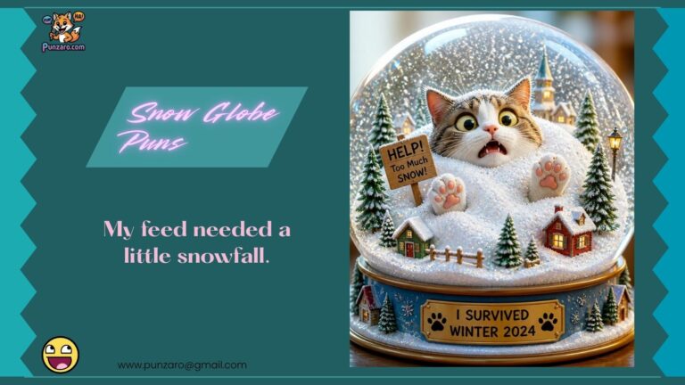 Snow Globe Puns